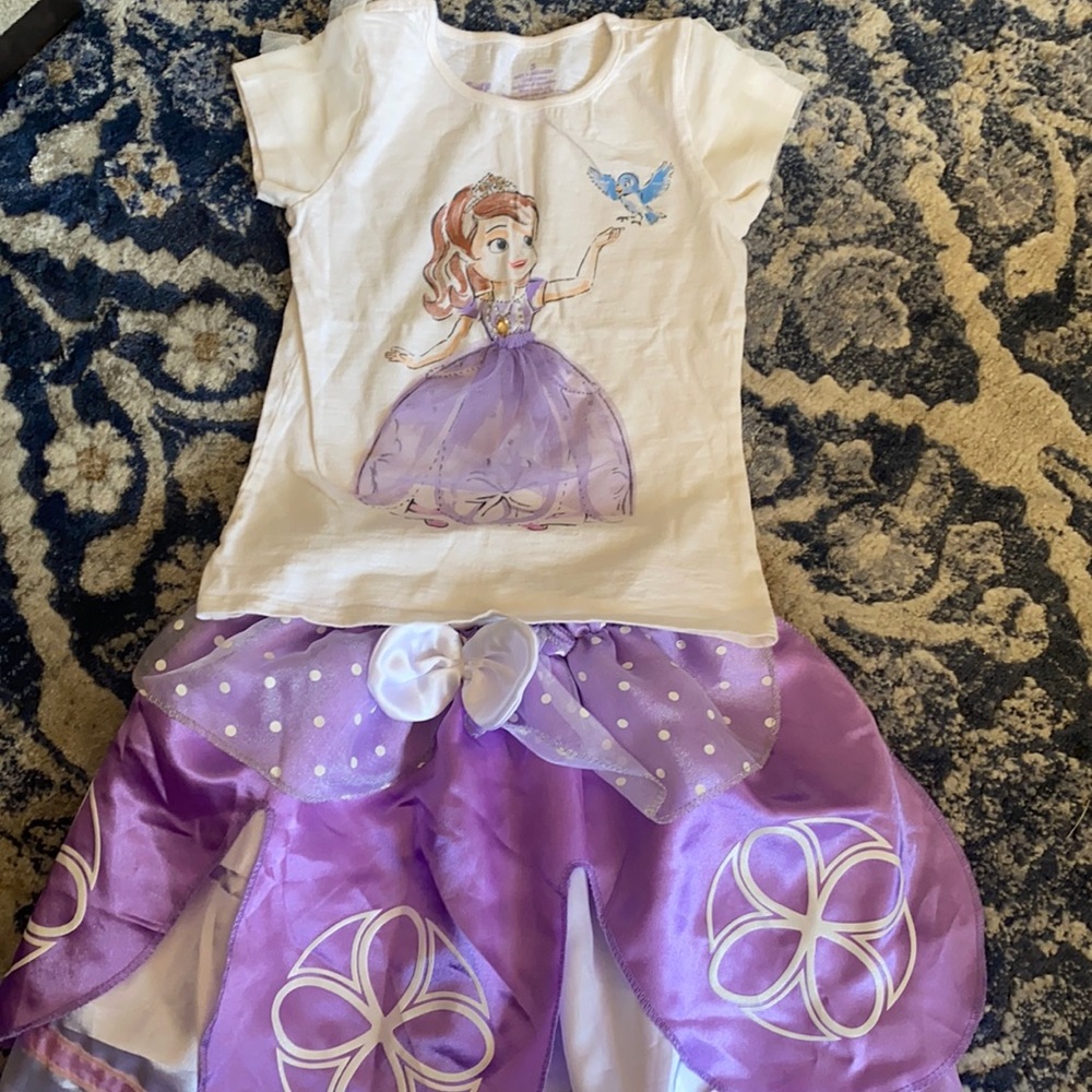 Sofia the first tee and skirt